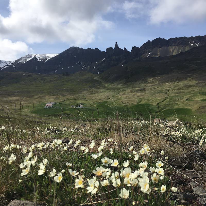 Tricoteuse d'Islande – Hélène Magnússon