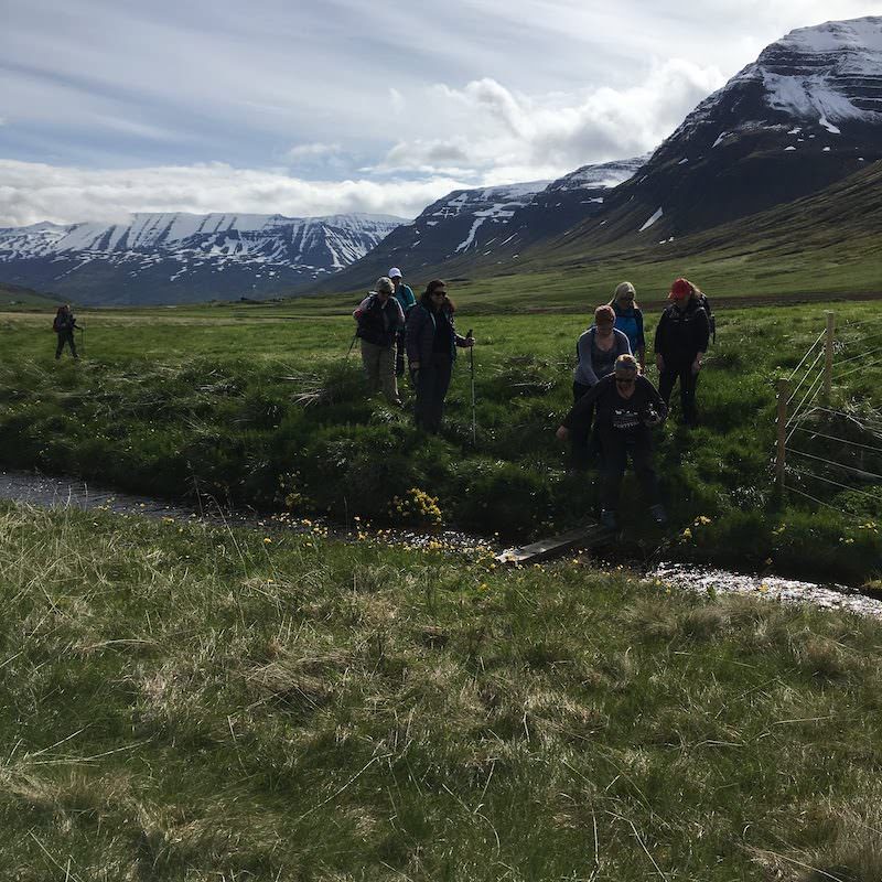 Tricoteuse d'Islande – Hélène Magnússon