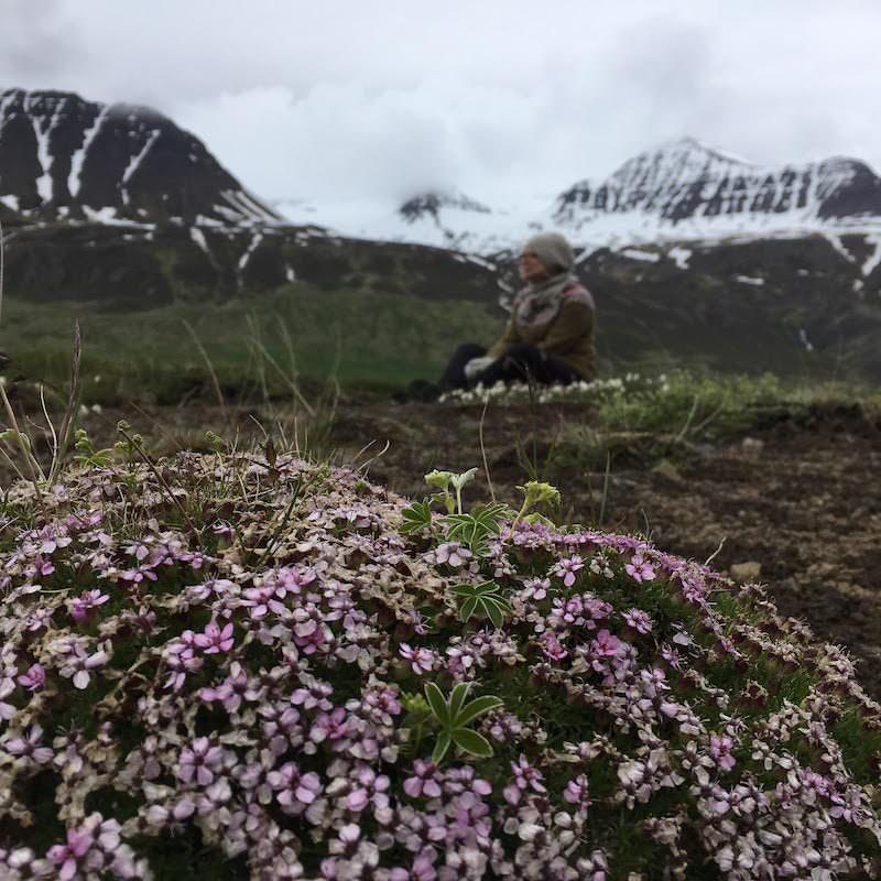 Tricoteuse d'Islande – Hélène Magnússon