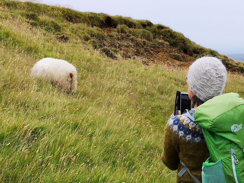 Tricoteuse d'Islande – Hélène Magnússon