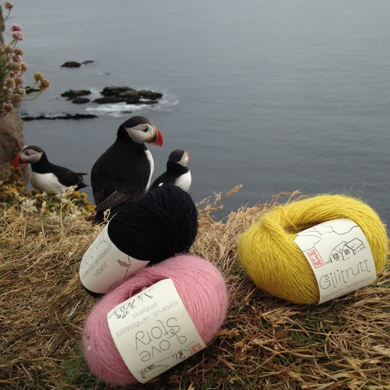 Tricoteuse d'Islande – Hélène Magnússon