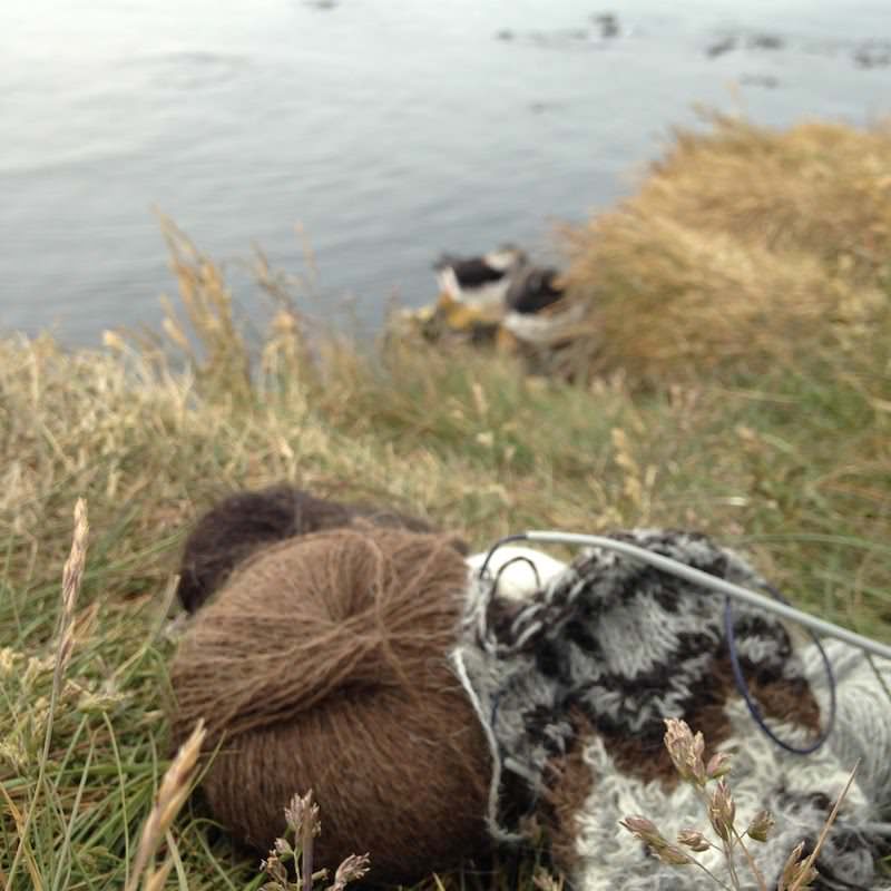 Tricoteuse d'Islande – Hélène Magnússon