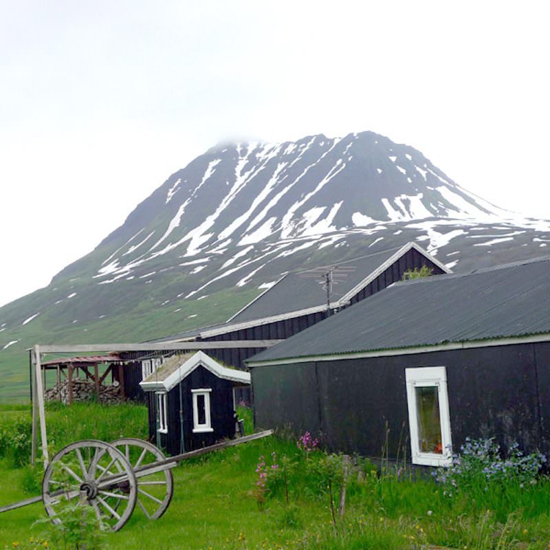 Tricoteuse d'Islande – Hélène Magnússon
