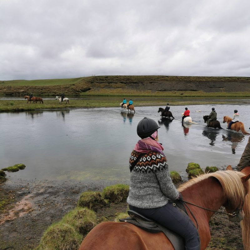 Tricoteuse d'Islande – Hélène Magnússon