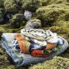 Field Guide 26: Moss – Image 11