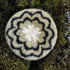 Field Guide 26: Moss – Image 12