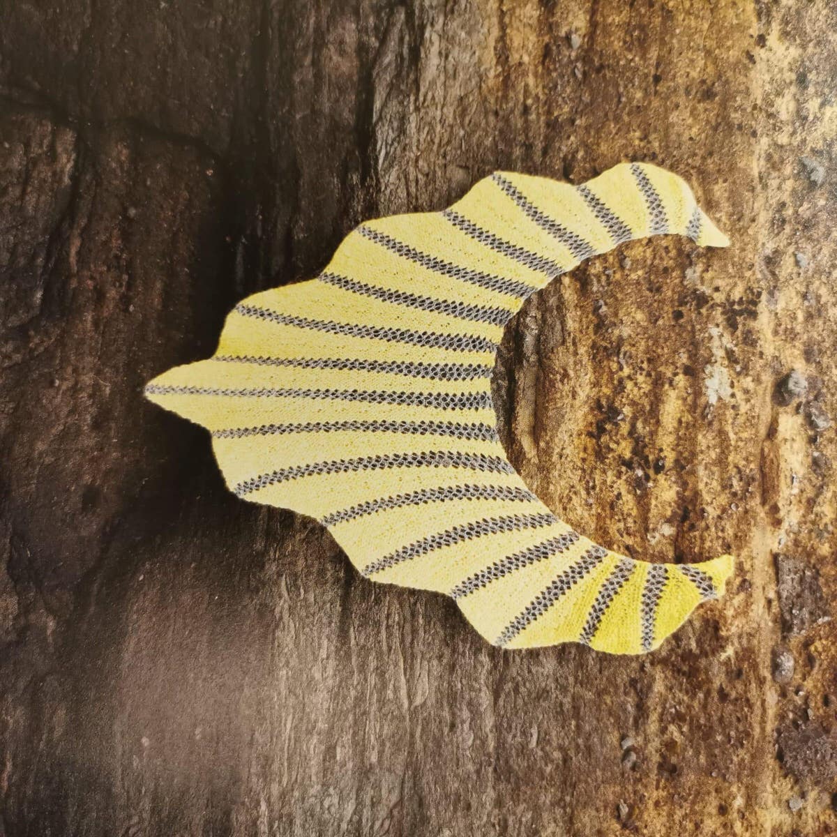 Tricoteuse d'Islande – Hélène Magnússon