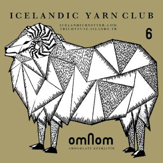 Club de laine Tricoteuse d´Islande 6