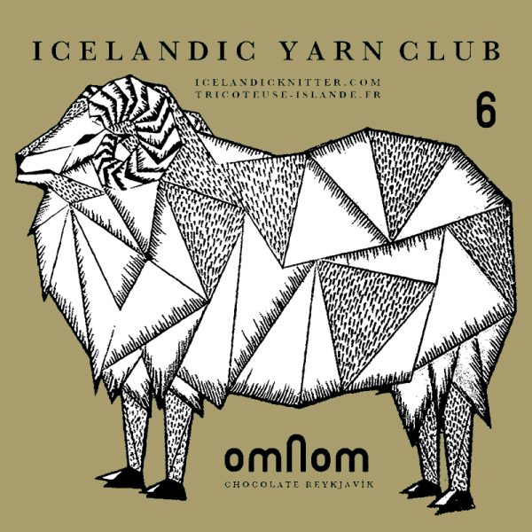 Club de laine Tricoteuse d´Islande 6