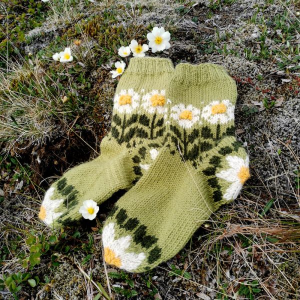 Chaussettes Holtasóley