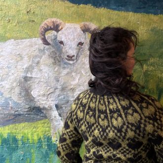 Alternative view of Ovis islandais